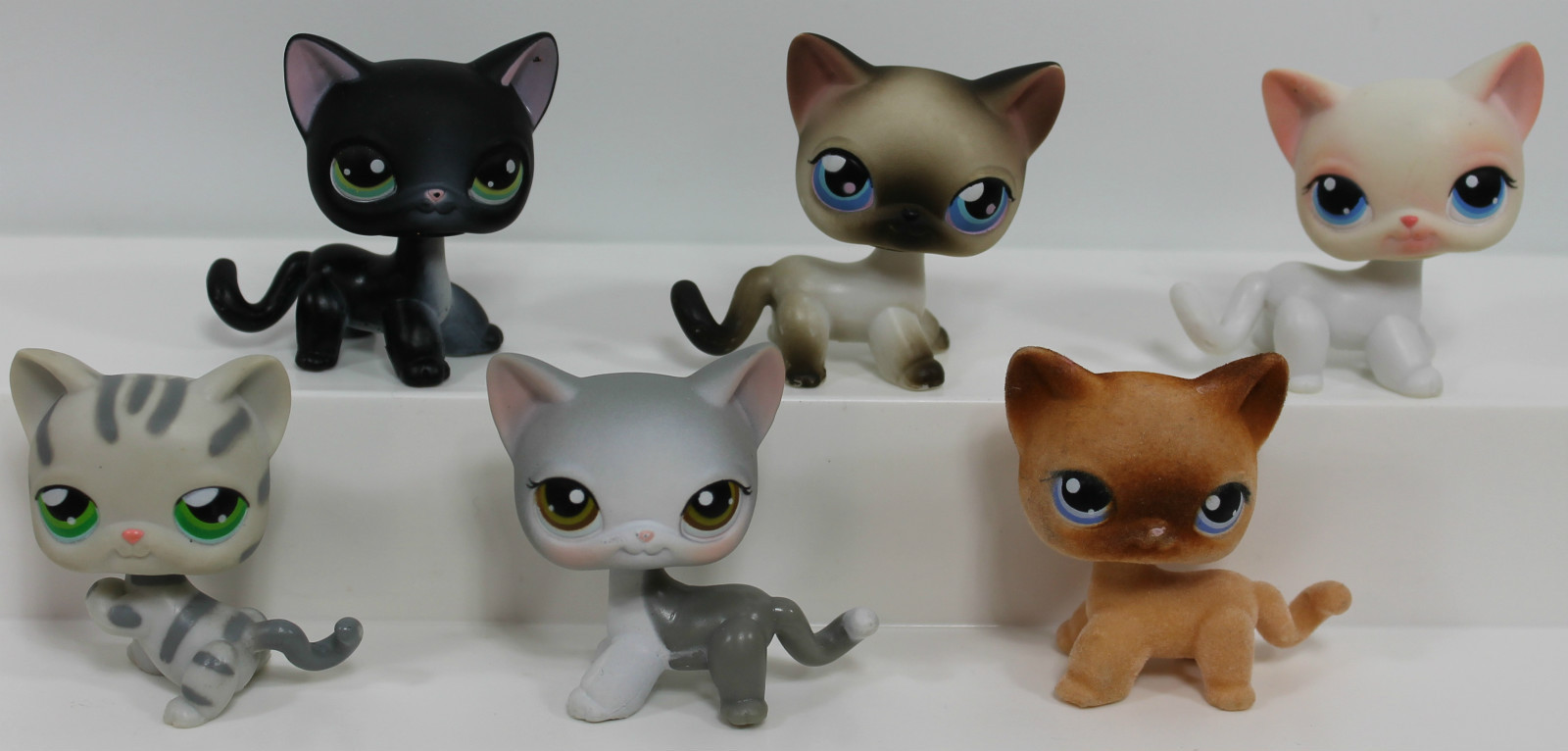 How many LPS cats do you have? Poll Results - Littlest Pet Shop - Fanpop