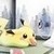 Pikachu from pokemon