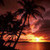  Tropical Sunset