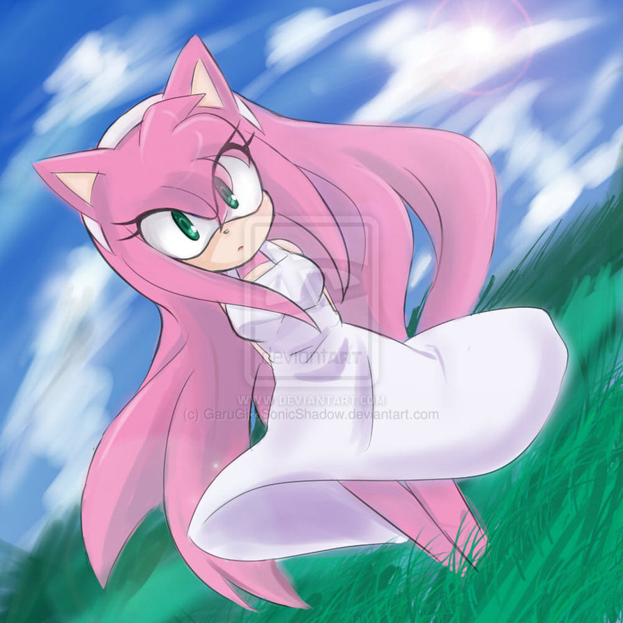 Which amy looks cute Poll Results - Amy Rose - Fanpop