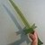 grass sword