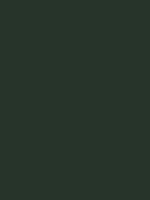  This color is called __________ (#253529).