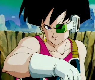  Fasha's only appearance is in the DBZ movie "Bardock - The Father of Goku": true ou false?