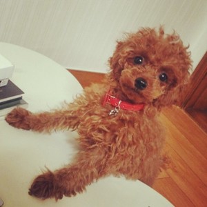  What is key's dog's name ??