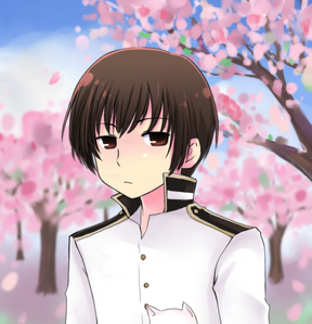Who Is This cute Guy of Hetalia Axis Power
