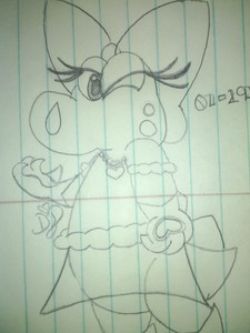  Was there ever a time when Birdo dressed up ou worn clothes?