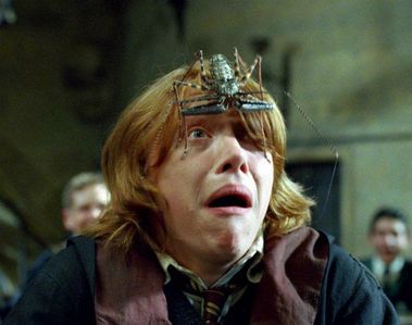  Why is Ron afraid of spiders?