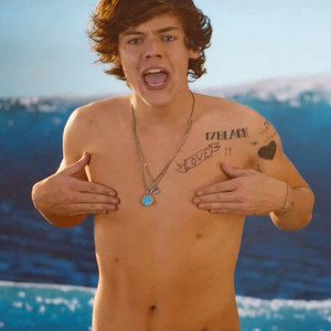  How many nipples does Harry have?