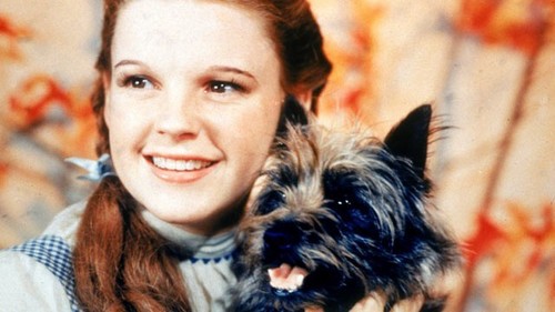  How old was Judy Garland when she made The Wizard of Oz?
