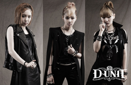  What are D-Unit ファン called?