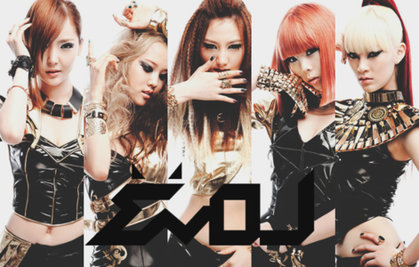 What are EvoL fans called?