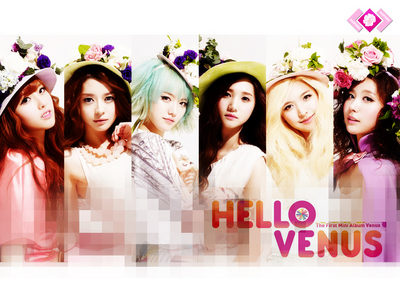 What are Hello Venus fans called?