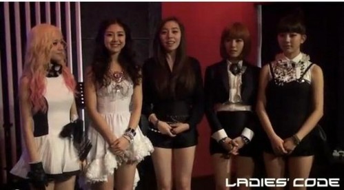  What are Ladies Code 粉丝 called?