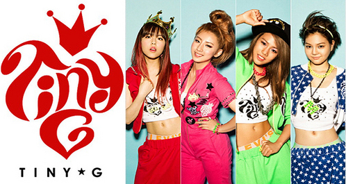 What are TINY-G fans called?