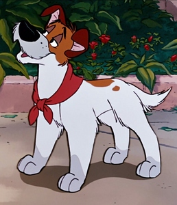  Disney - What breed is Dodger from Oliver & Company?