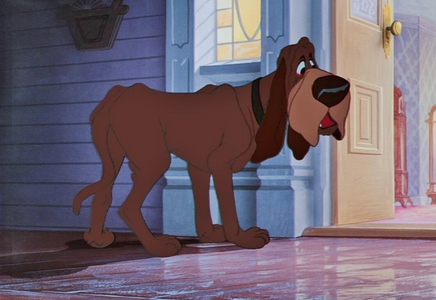  Дисней - What breed is Trusty from Lady & the Tramp?