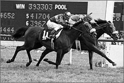  How old was the American racehorse "John Henry" when he was euthanized?