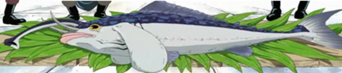  In the manga, how did Sanji acquire the elefante tronco tuna pesce in Logue Town?