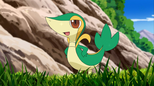 Who has a rivalry with Ash's Snivy?