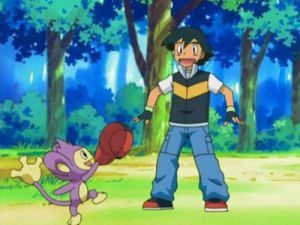 How many times did Ash's Aipom steal his hat?