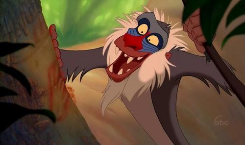 True/False. Rafiki sing a song in The Lion King 2 : Simba's Pride .