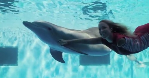 Who is she in Dolphin Tale 2 ?