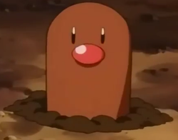 Which Pokémon is the same height as Diglett?