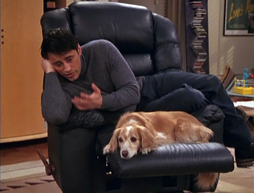  Name that Joey gave to this dog 'cause he didn't know the real name?