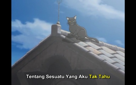  What animé is this cat from?