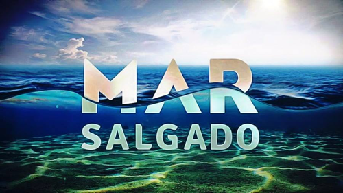  What type of 表示する is Mar Salgado?