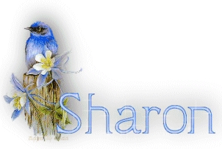  What is the meaning of the name Sharon?