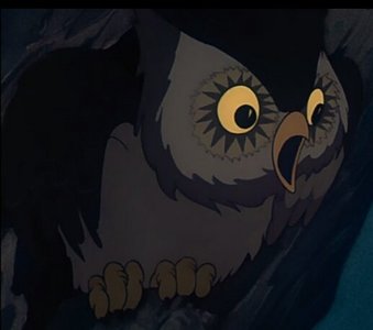  In which film did this owl briefly appear?
