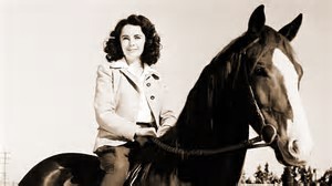 This beautiful horse starred with Elizabeth Taylor in which film ?
