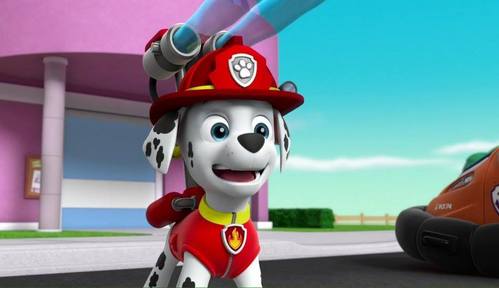 What is Marshall's membership number of the PAW Patrol?