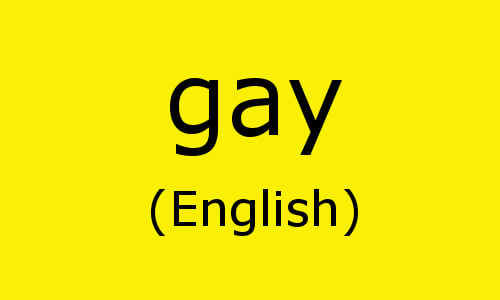  Yes o No question. Gay also stand for happy.
