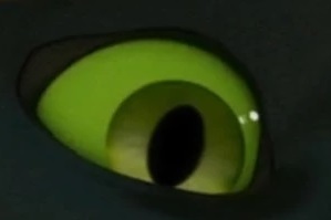 Who's eye is this?