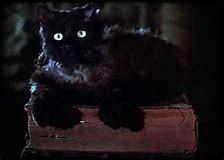  This cat starred in which film ?