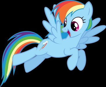 Who thought Rainbow Dash was male?
