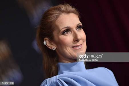 Celine Dion was in attendance at the 2017 Premiere of the live version of Beauty And The Beast