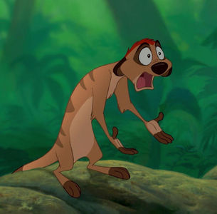  Timon is a ___?