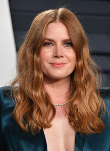  What ano was Amy Adams born in?