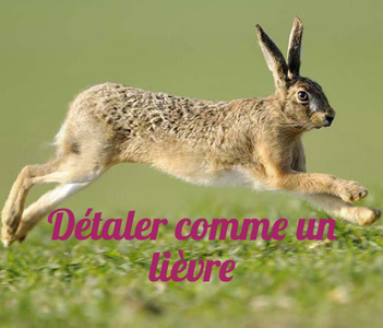  What is the English translation for “Détaler comme un lièvre”?