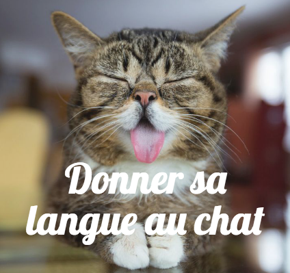  What is the English translation for “Donner sa langue au chat”?