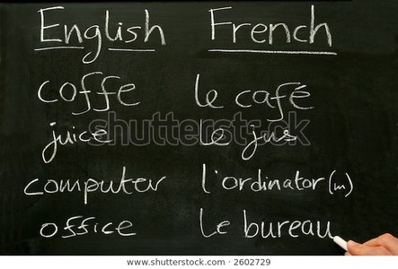  Which of the following words are feminine in French?