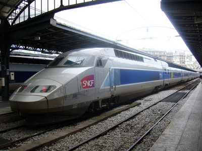 What live animal has to have a ticket to ride a high-speed train in France?