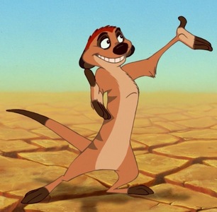 Who was the voice of Timon in the 1994 Disney cartoon, The Lion King