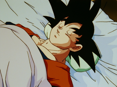How Future Goku died the second time?