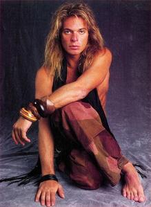  California Girls was recorded দ্বারা The সৈকত Boys and David Lee Roth