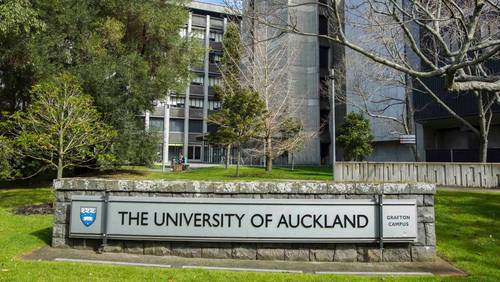  Lucy studied ______________ at the universitas of Auckland for one year.
