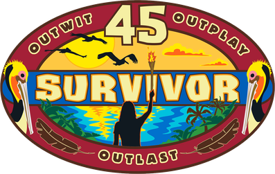  Who is the Sole Survivor of "Survivor 45"?